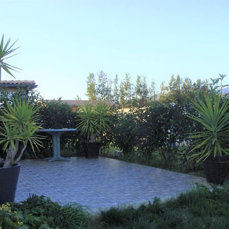Cavone 2 Apartment Castellare-di-Casinca Exterior foto
