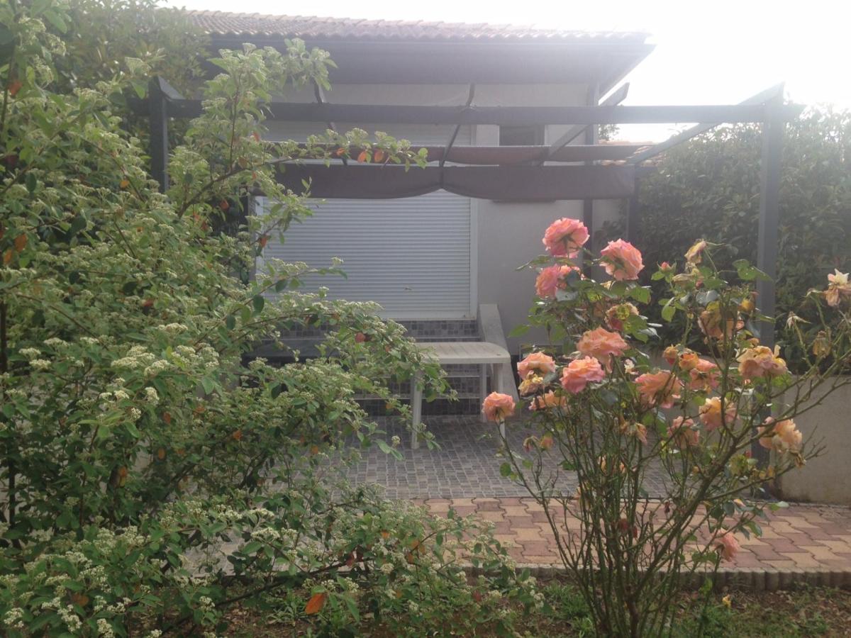 Cavone 2 Apartment Castellare-di-Casinca Exterior foto